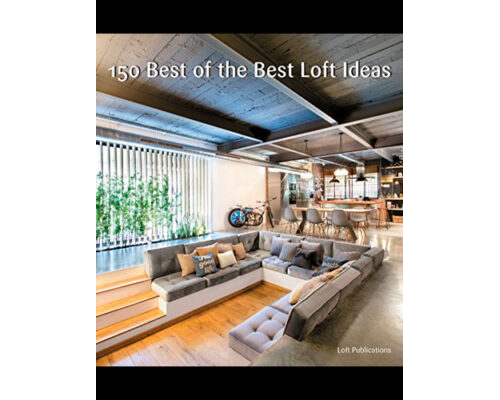 150 Best of the Best Loft Ideas